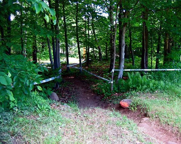 Deep dark woods