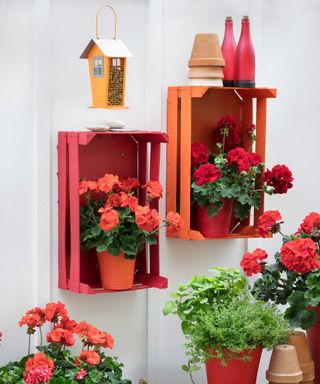crates painted and used for garden shelves