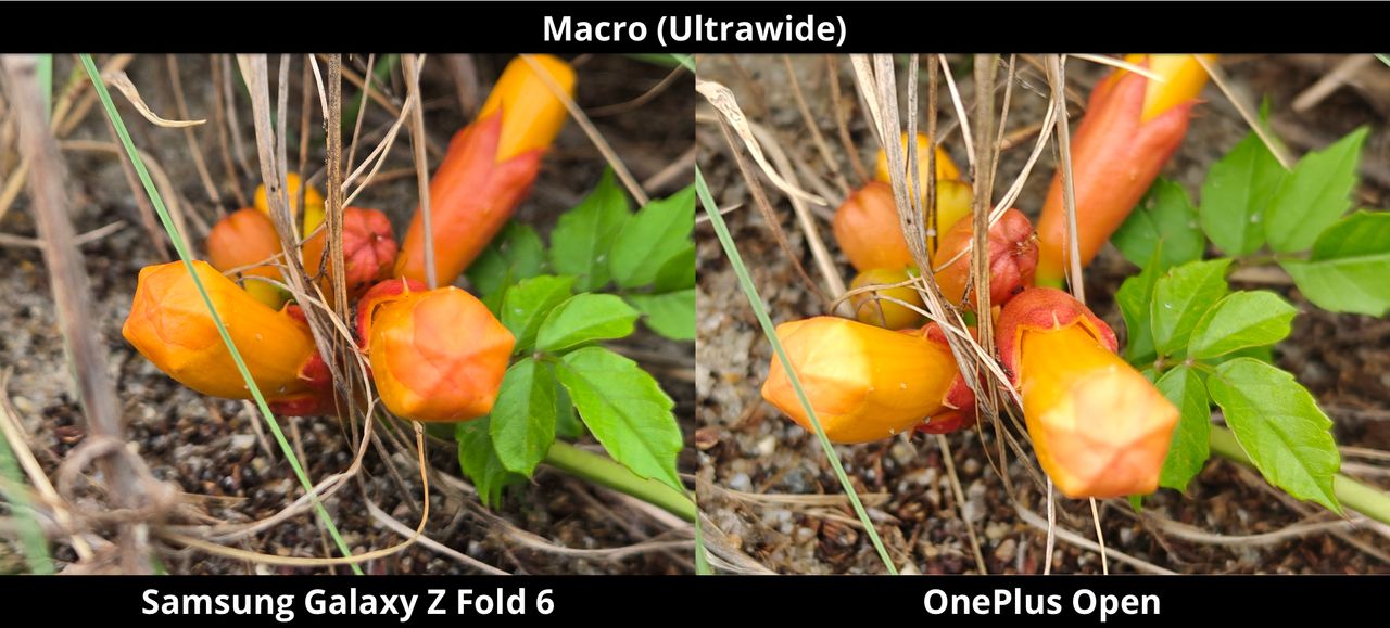 Galaxy Z Fold 6 vs. OnePlus Open Macro Attempt