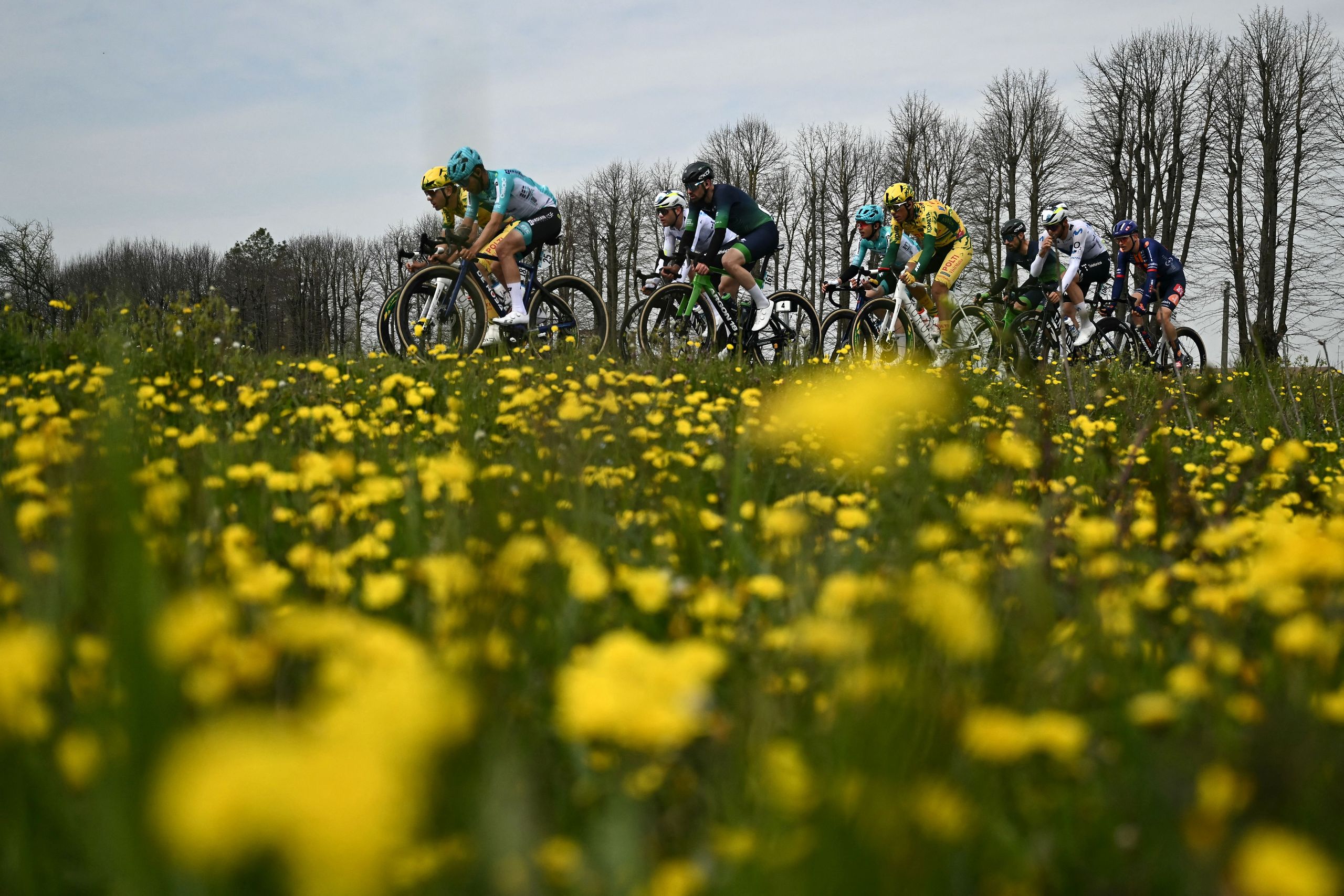 Milan-San Remo Men LIVE – Silvan Dillier keeping the nine man break on a tight leash