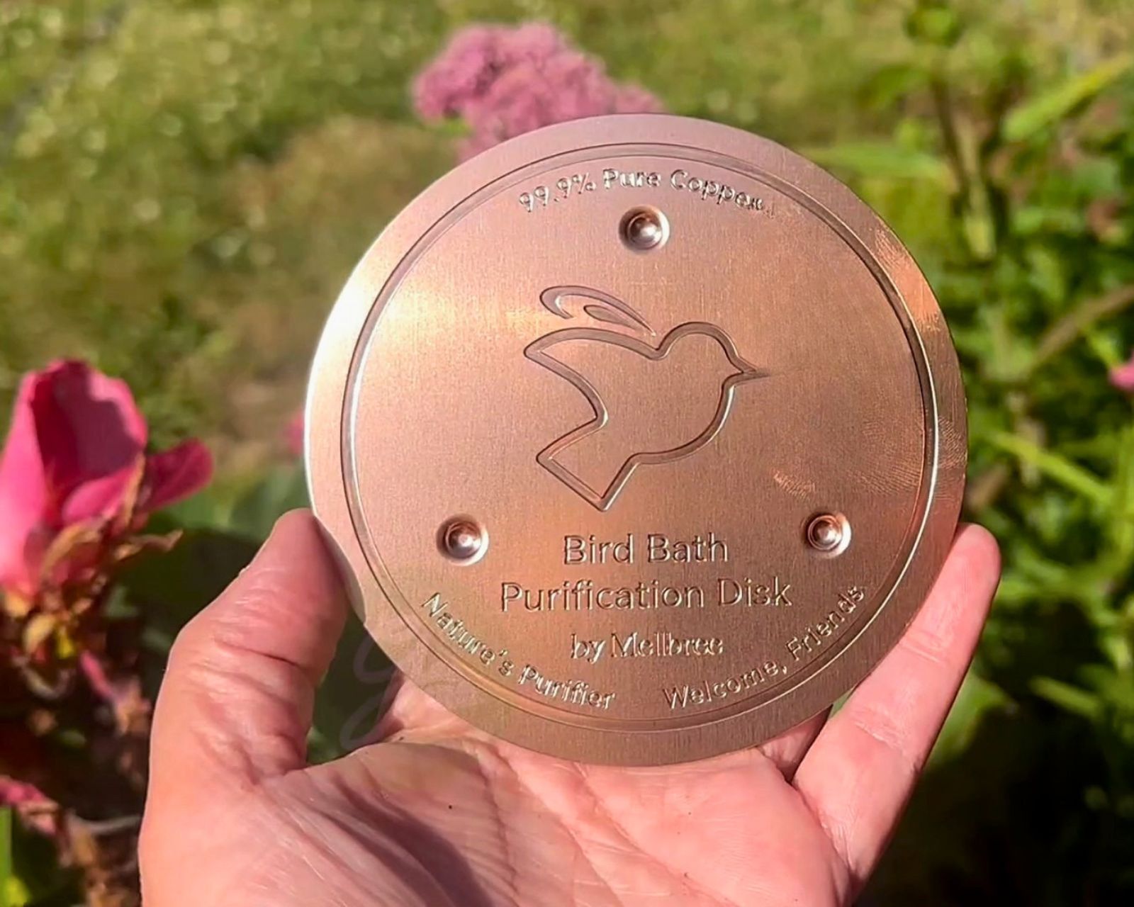 Mellbree Bird Bath Copper Disc