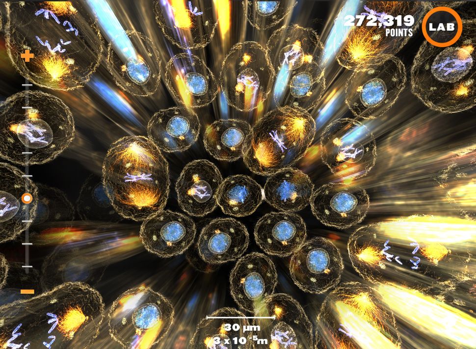 Gallery: Vivid Science Visualizations | Live Science