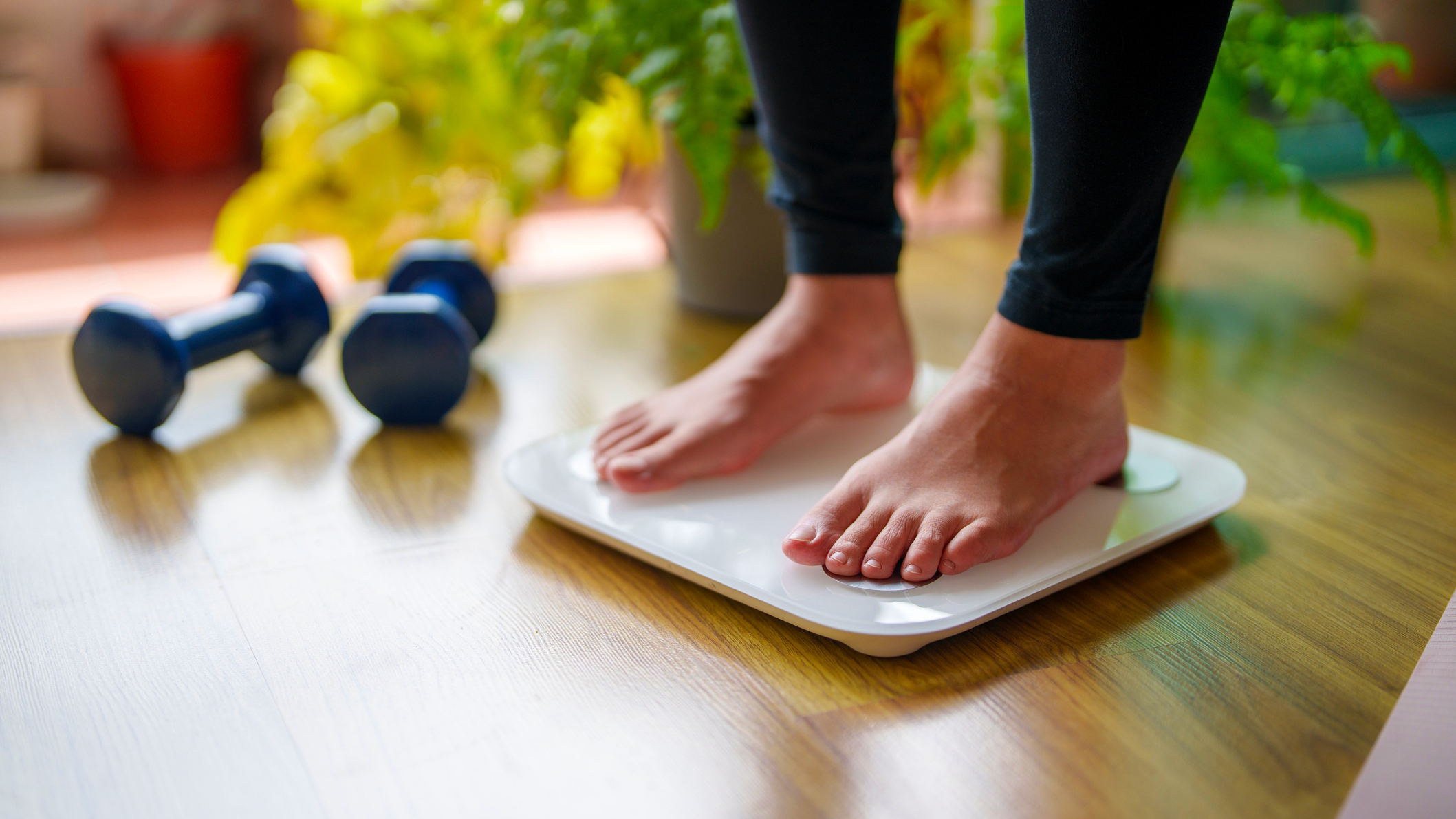 Woman's feet standing on digital scales. Small dumbbells are on the floor next to hear