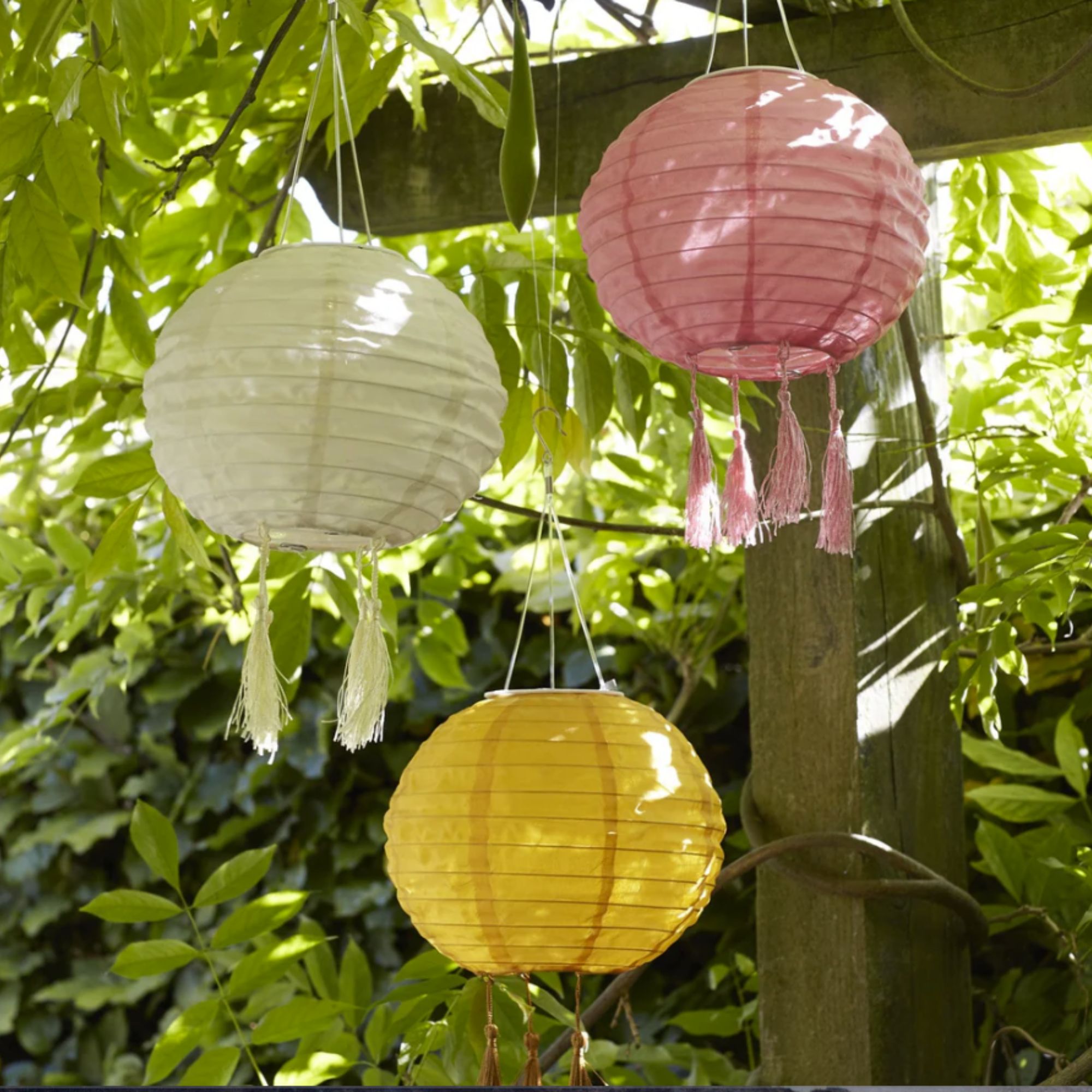 Yellow, pink and white paper lanterns hanging amongst greenery in a garden