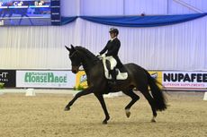 2024 Winter Dressage Championships