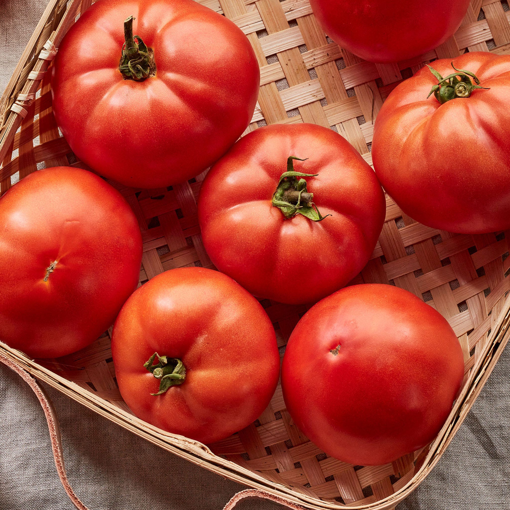Early Girl Tomato Seeds &amp;amp; Plant