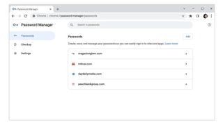 Google Password Manager interface