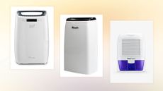 The De'Longhi Dehumidifier, Woods MDK26 dehumidifier, and Pro Breeze Mini 1500ml Dehumidifier on a woman&home background