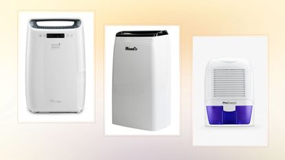 The De&#039;Longhi Dehumidifier, Woods MDK26 dehumidifier, and Pro Breeze Mini 1500ml Dehumidifier on a woman&amp;home background