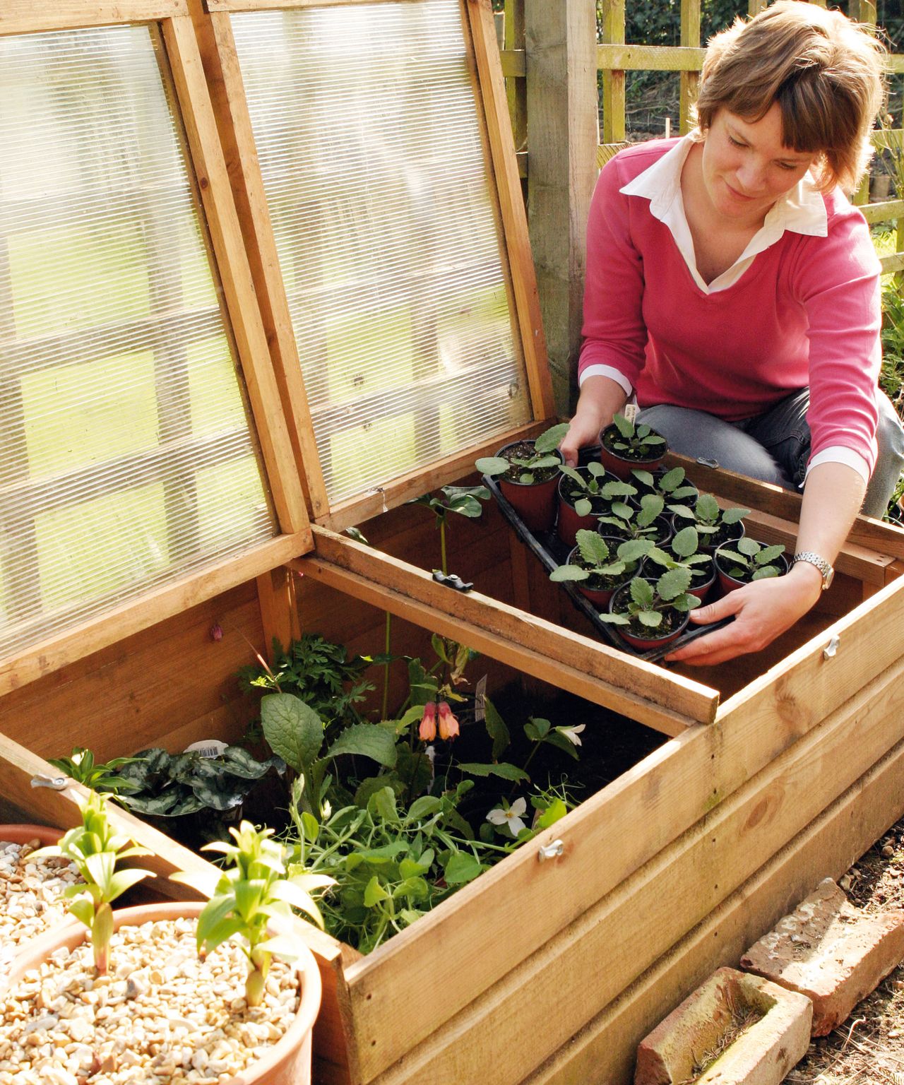 Hardening off plants how when and why to do it gardeningetc