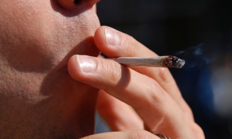 A special strain of medical marijuana cultivated in Israel looks, smells, and tastes the same as the average drug, except it doesn't get you high.