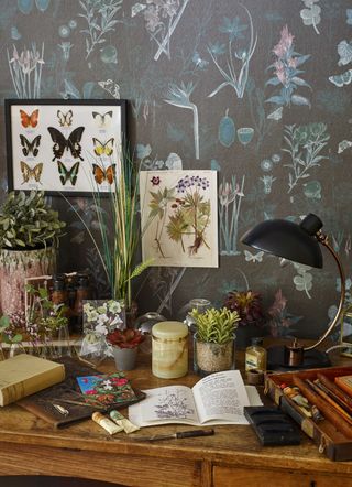 how to grow a butterfly garden: books on desk