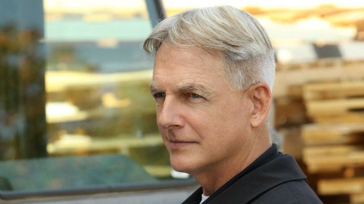 NCIS season 19