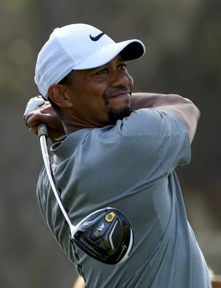 tiger woods pleads guilty