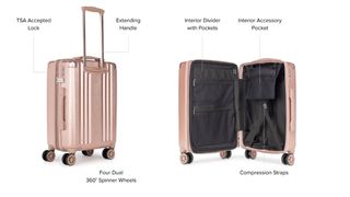 Image shows the Calpak Ambeur Carry-On.
