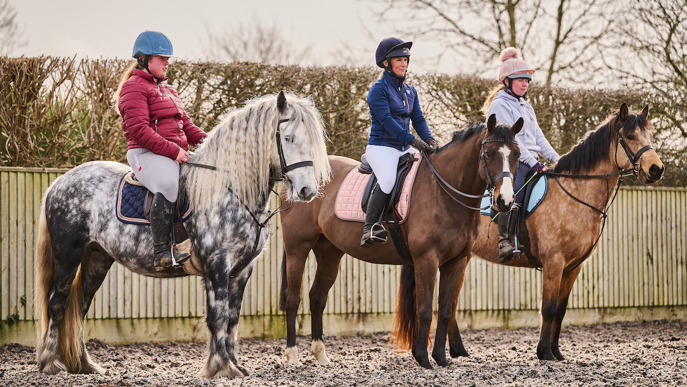 Three horses standing still in an arena