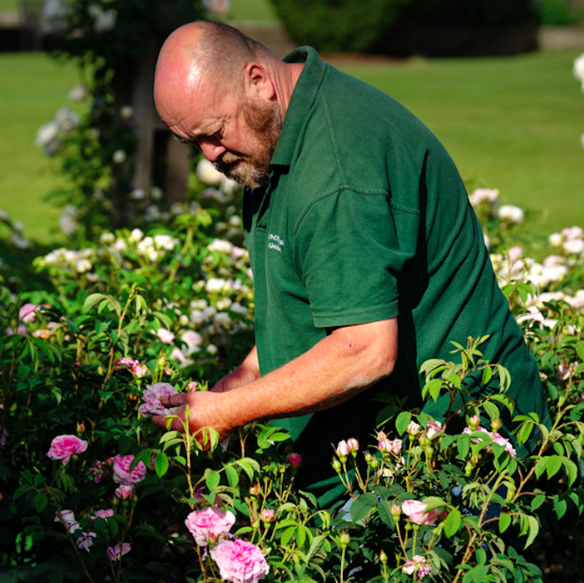 Kevin Martin head gardener Glyndebourne