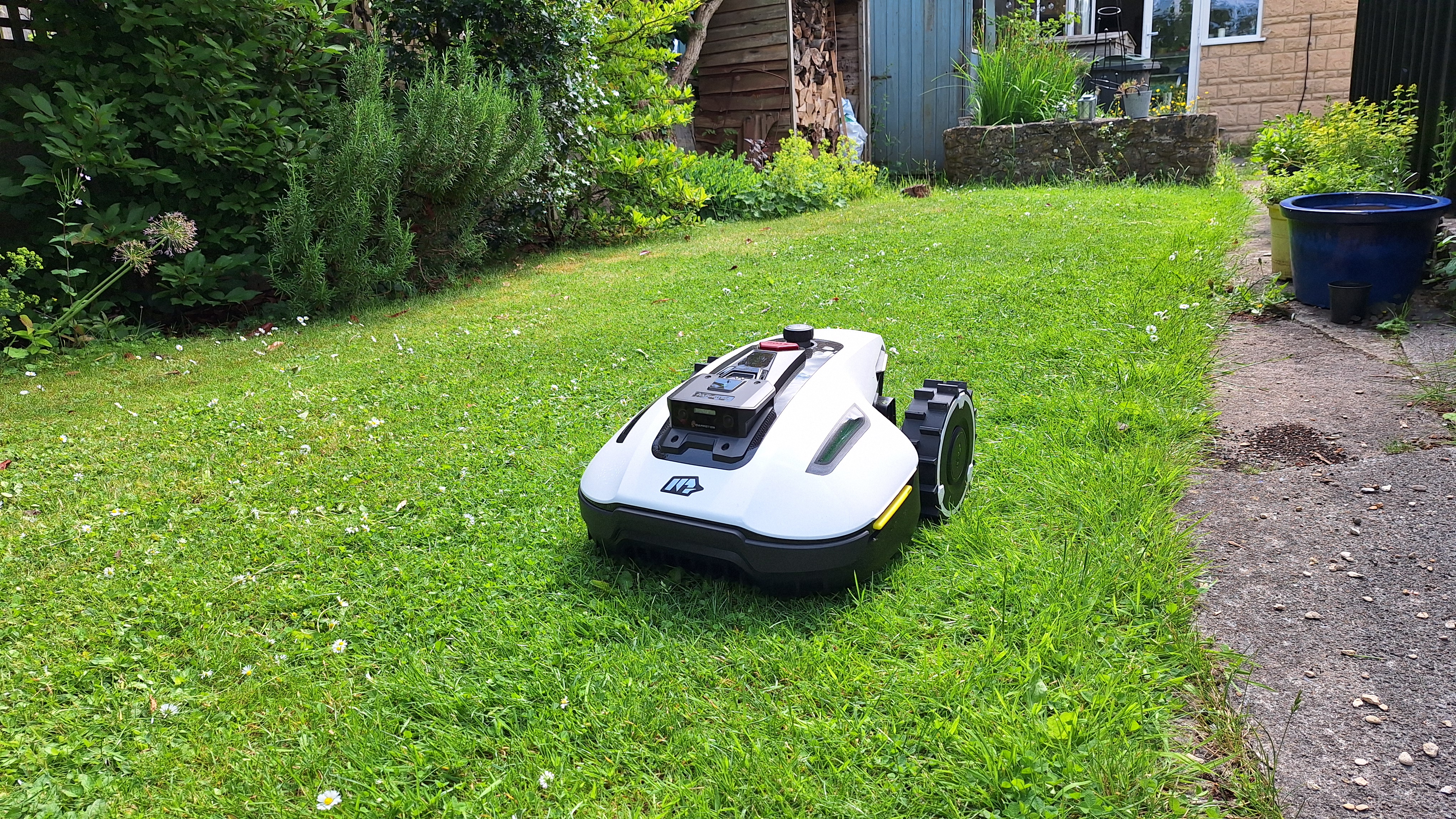 Mammotion Yuka Mini 600 in reviewer's yard