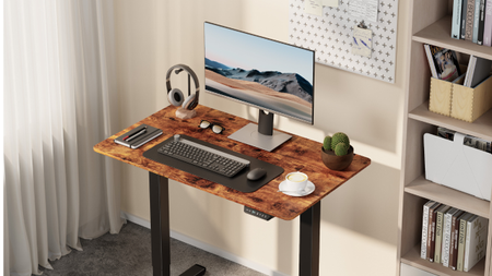 VonHaus standing desk