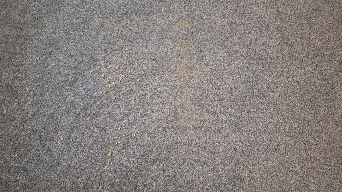 iRobot Roomba Combo Essential after a single pass of the vacuuming test on carpet