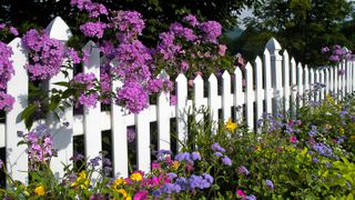 small white picket fence