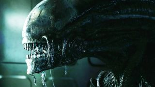 closeup of the head of a xenomorph from the "alien" movies, focused on its sharp-toothed, drooling mouth 