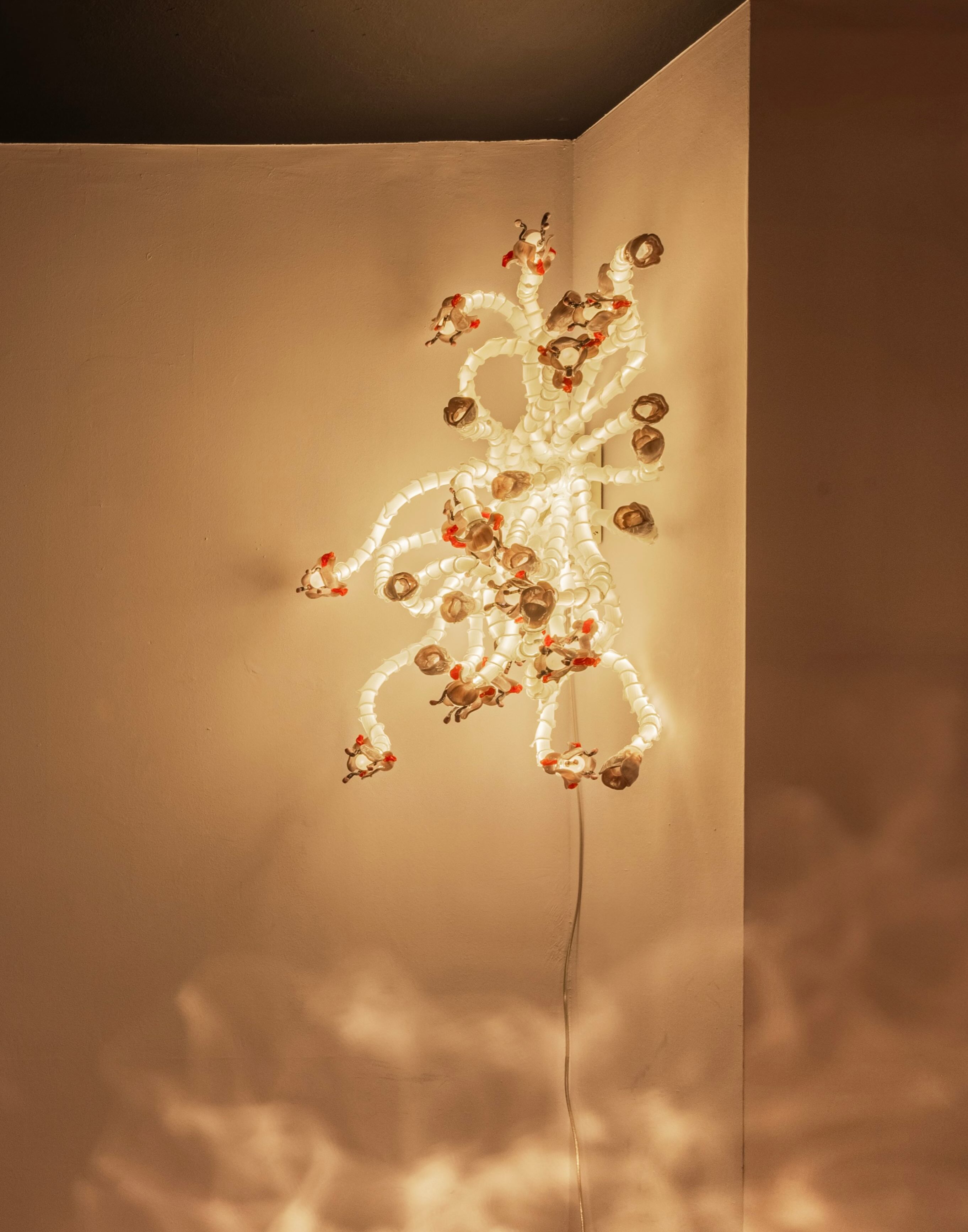 glass wall lamp