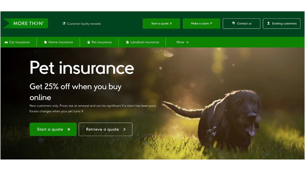 Best pet insurance Essential cover to put your mind at ease PetsRadar