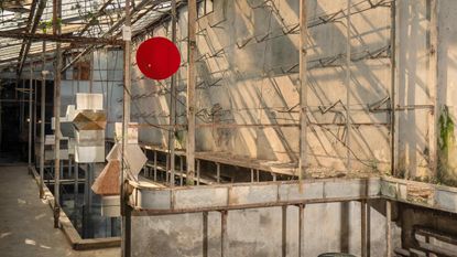 Sculptural Marble objects in abandoned glasshouse