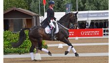 CARL-HESTER-HAWTINS-DELICATO_322456762_515140851.jpg