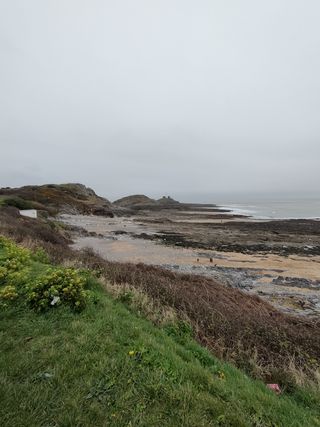 „Oppo Find X3 Lite“ fotoaparato pavyzdys