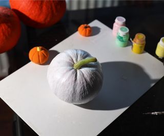 White painted pumpkin