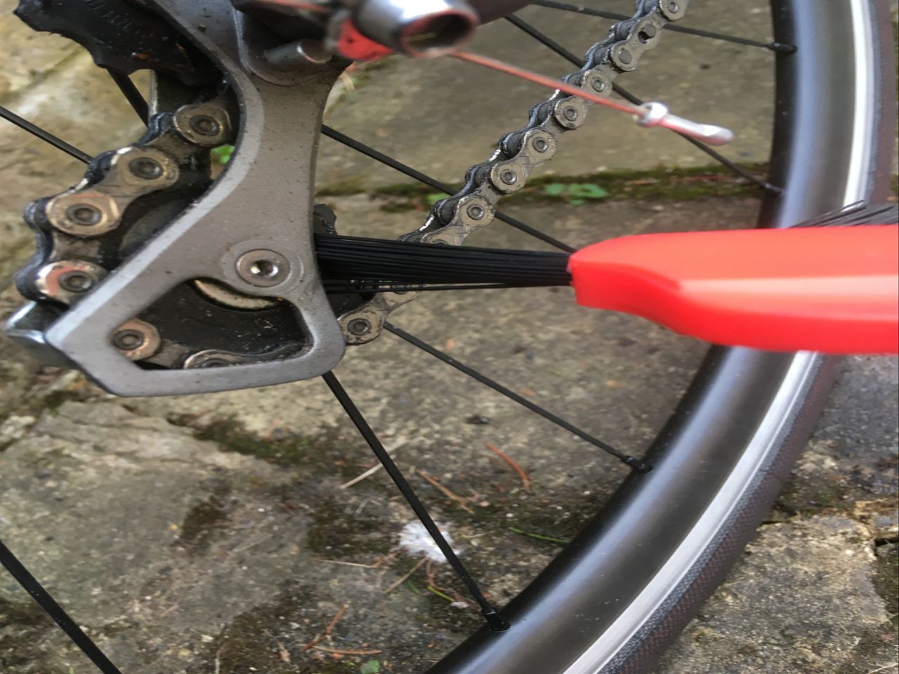 Cog Brush
