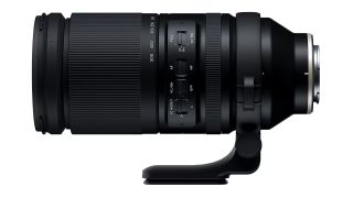 Sony 200-600 f/5.6-6.3 G OSS Review - See the impossible