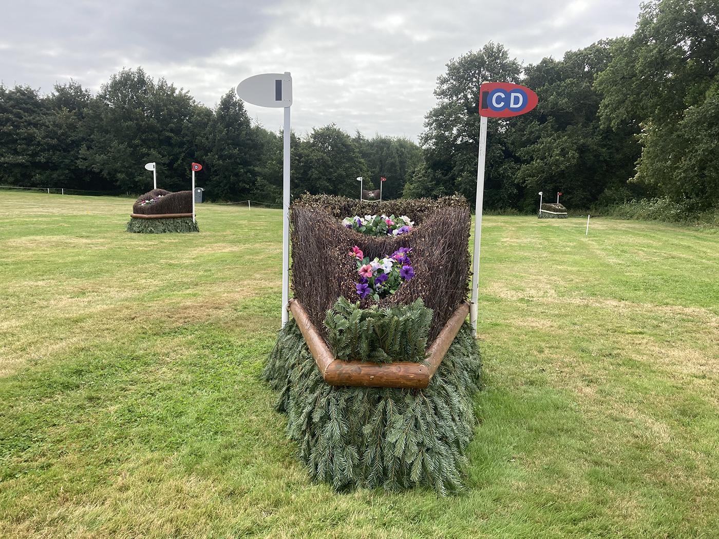 Bicton-fence19CD
