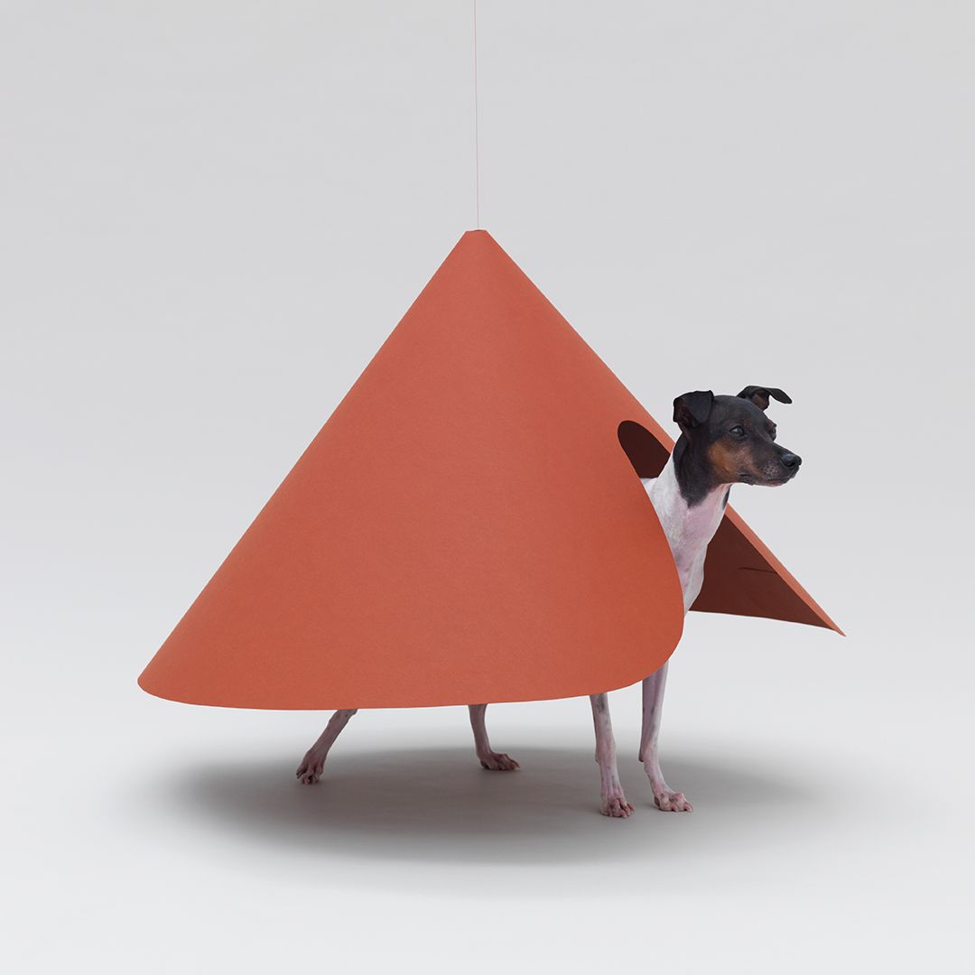 Dog kennel