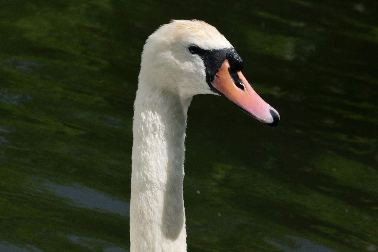 A photo taken on a Panasonic Lumix GH7 Micro Four Thirds camera