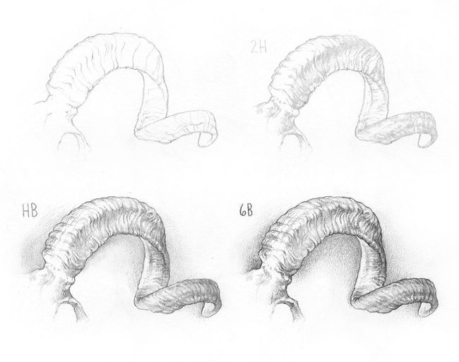 Pensil shading: latihan