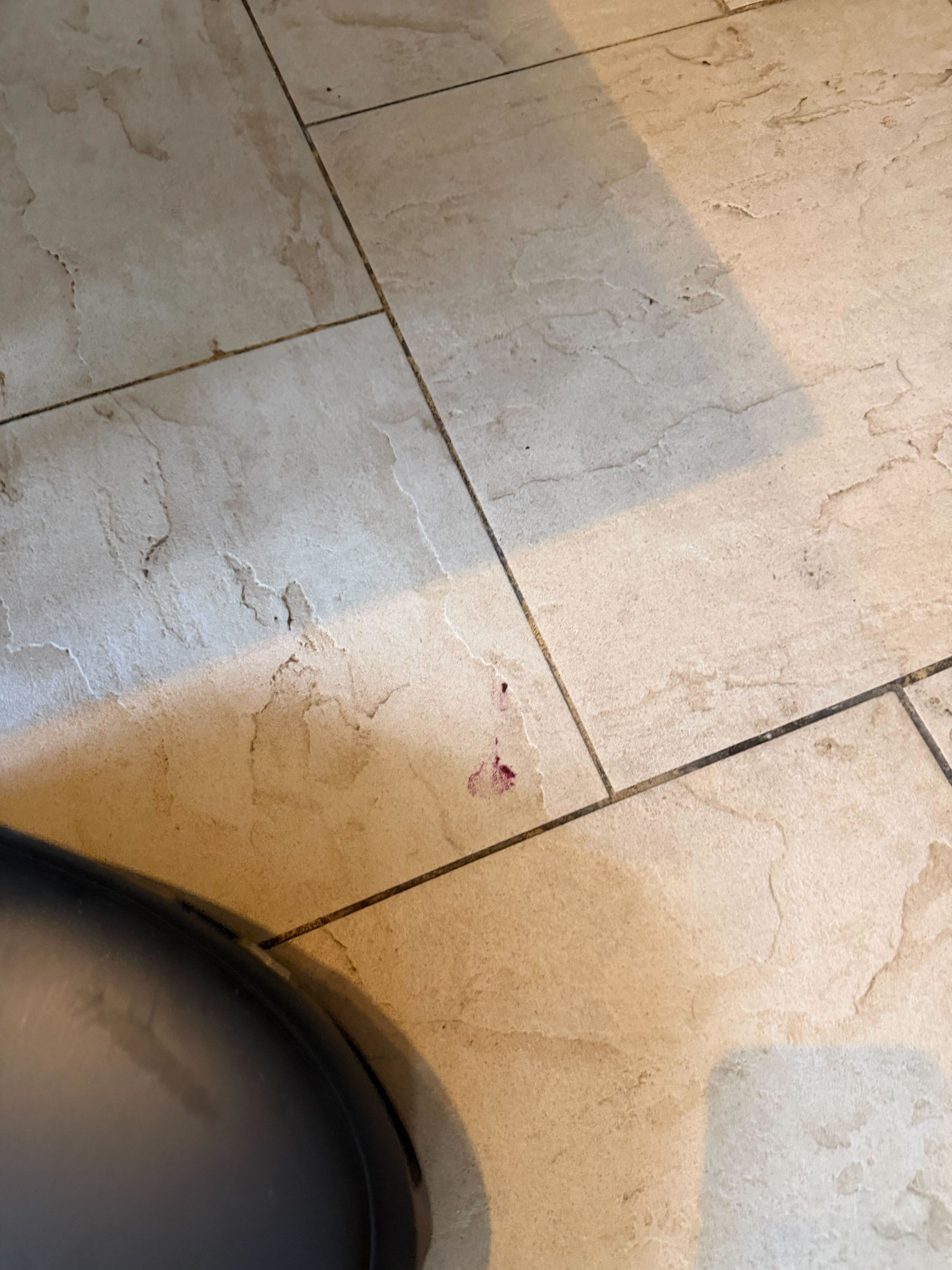Beetroot juice being cleaned on a kitchen floor by a robovac
