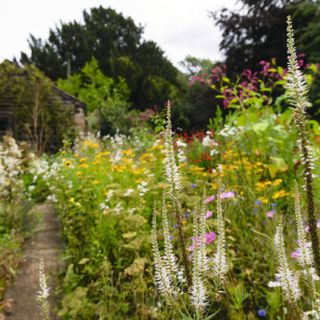 The beautiful wildflower gardens at The Manor at Hemingford Grey Families