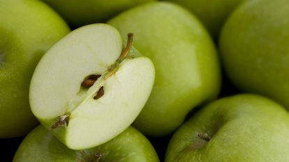 apple fruit sliced showing seeds and core