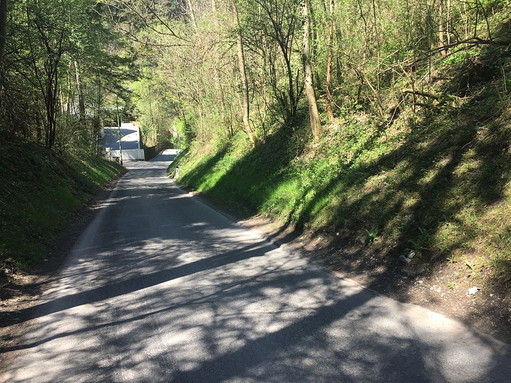 The steep, narrow climb is flanked by trees