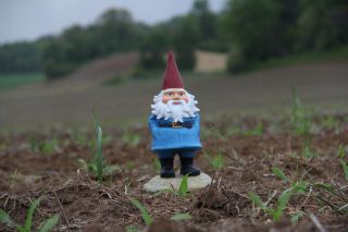 Traditional Gnome