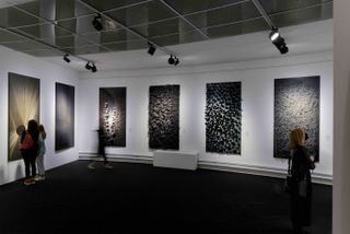 Textured materials exhibited on white wall in gallery
