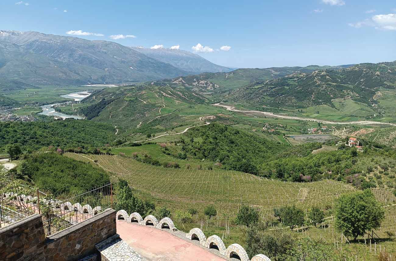 Vineyards in a wide valley with a river and mountains in the background