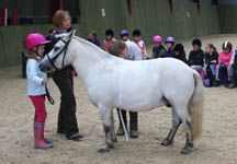 Fatpony.jpg