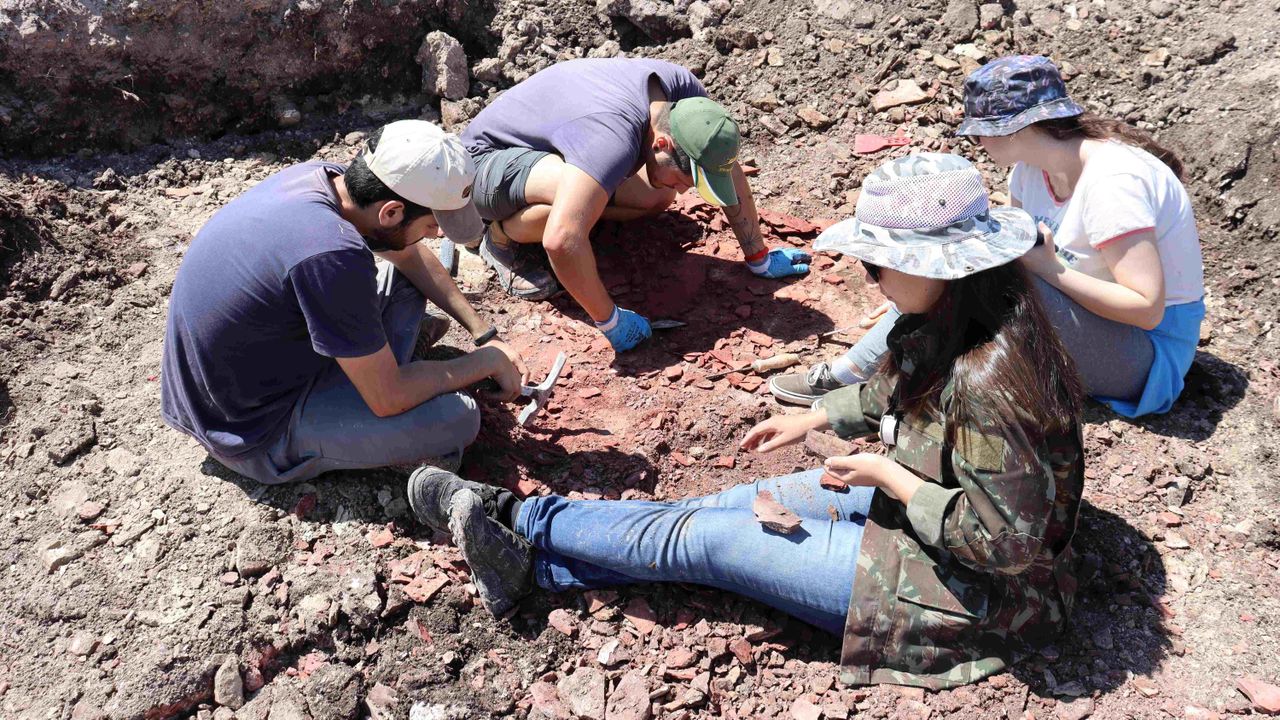 Researchers sort through rock samples to find fossils.