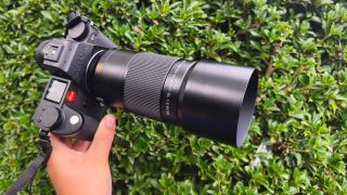Leica APO-Macro-Elmarit-SL 100 f/2.8