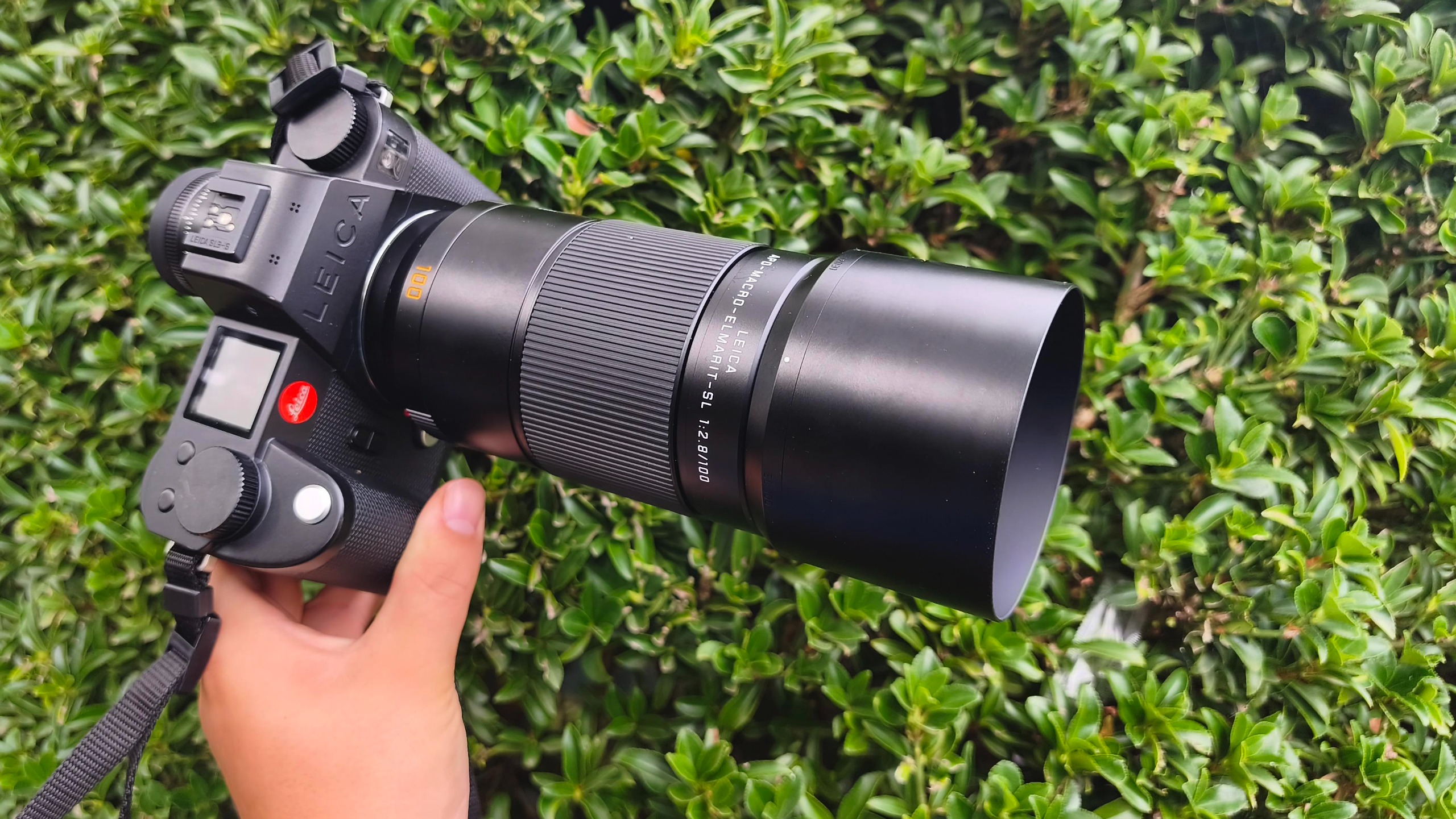 Leica APO-Macro-Elmarit-SL 100 f/2.8
