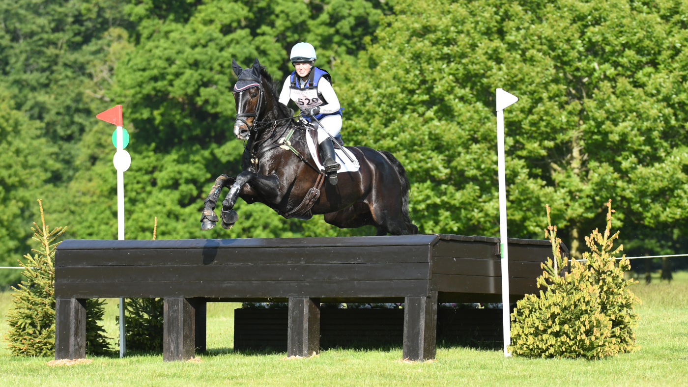 HorseNo529_Houghton_PN18_26970_201348771_273921851.jpg